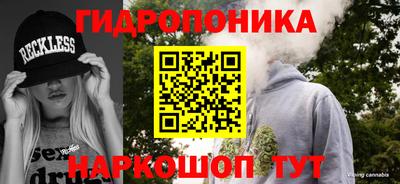 спайс Берёзовский