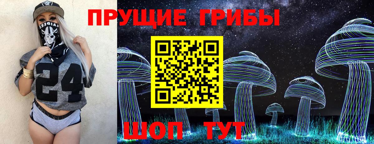 Жуковский  Псилоцибиновые грибы GOLDEN TEACHER  Вход с VPN 